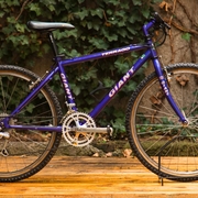 1991.jpg
