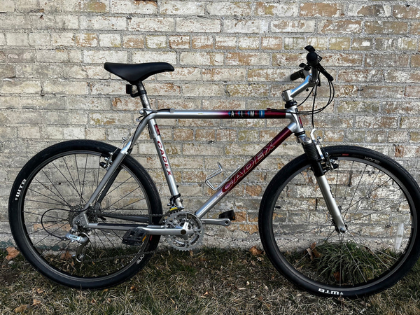 1993 ALM-1 