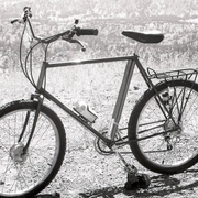 1981.jpg