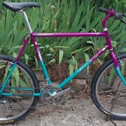 1989.jpg