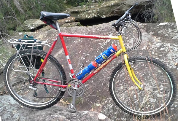 1990 Summit 