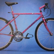 1989.jpg