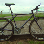 1990.jpg