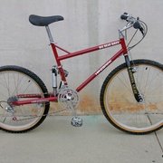 1984.jpg