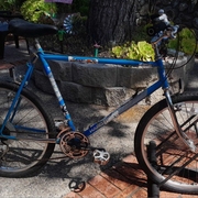 1986.jpg