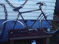 1984.jpg