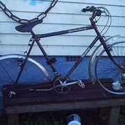 1984.jpg