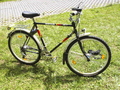 1987.jpg