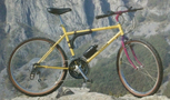 1989.jpg