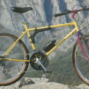 1989.jpg