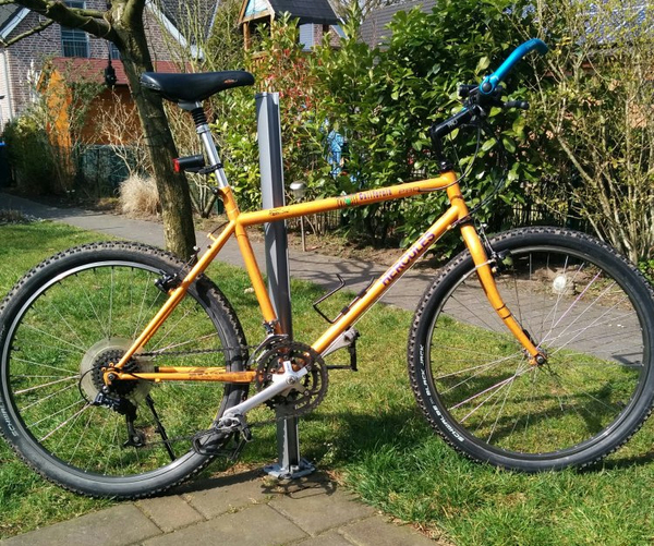 1991 California Pro 