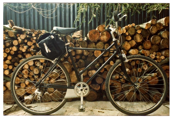 1983 Phoenix 