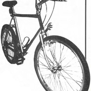 1983.jpg