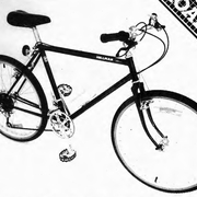 1984.jpg