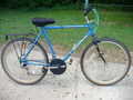 1991.jpg