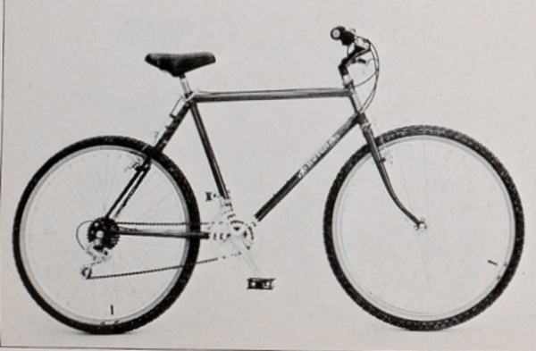 1986 Trail Star 
