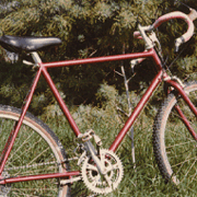 1981.gif
