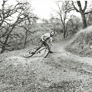1982.jpg
