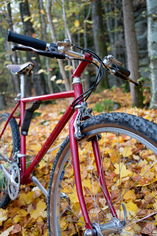1983 Ibis 