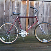 1983.jpg