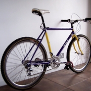 1989.jpg