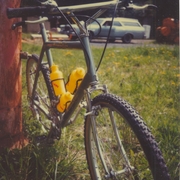 1983.jpg