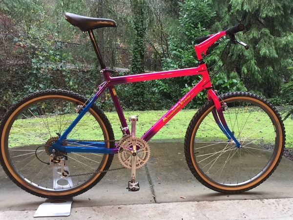 1989 Mountain Klein