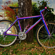 1992b.jpg