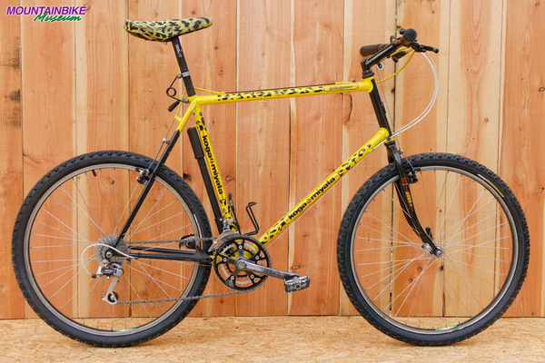 1989 RidgeRunner 