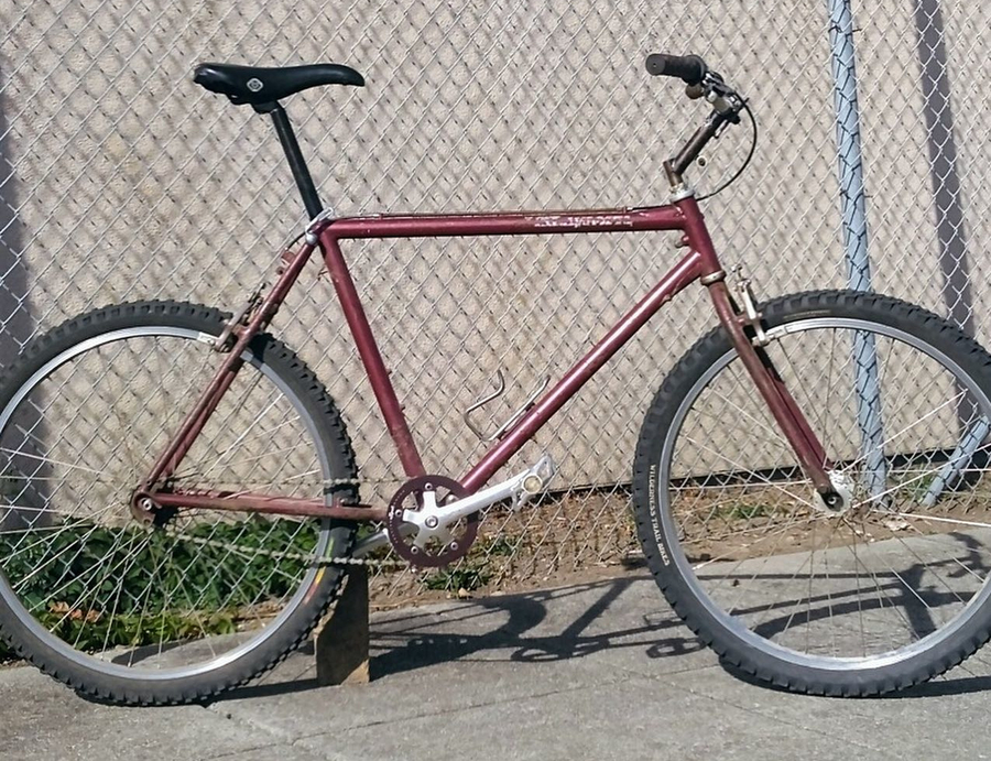 1984.jpg