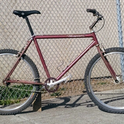 1984.jpg