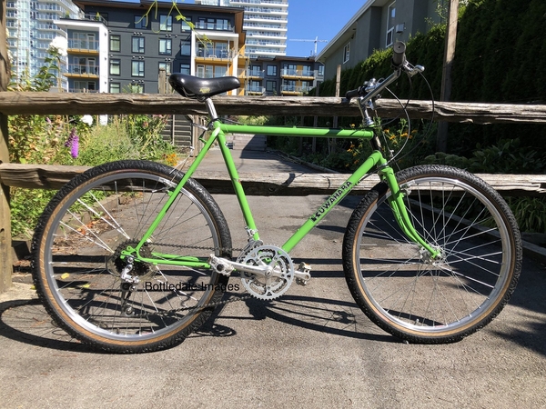 1984 Aries