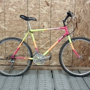 1989.jpg