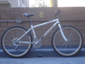 1990.jpg