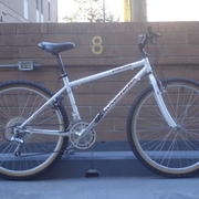 1990.jpg