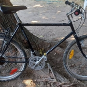 1984.jpg