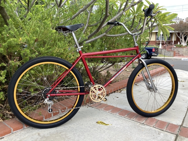  1980 Pro Cruiser
