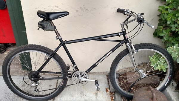  1981 Pro Cruiser