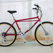 procruiser.jpg