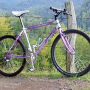 1990.jpg