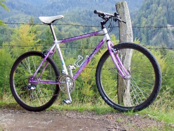 1990 Comp 2000 Pro 