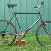 1983.jpg