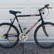 1991.jpg