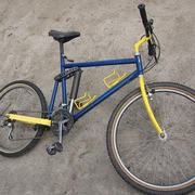 1984b.jpg