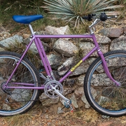 1981.jpg