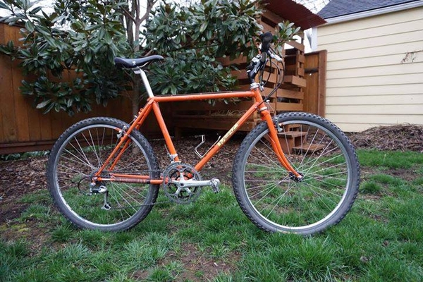 1982 Merz