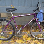 1990.jpg
