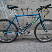 1991.jpg