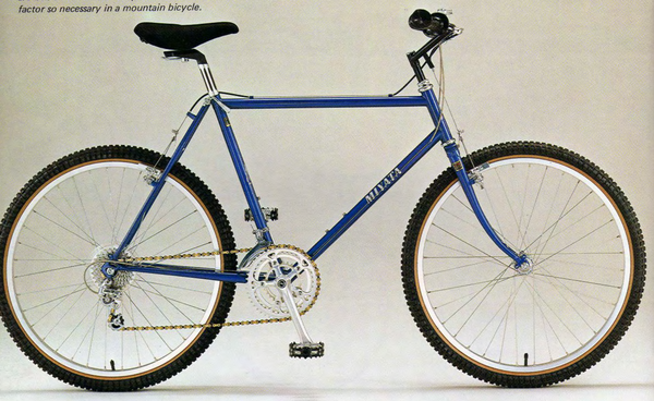 1983 Ridge Runner