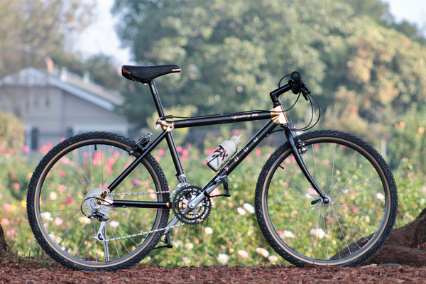 1990 Mt. Century 